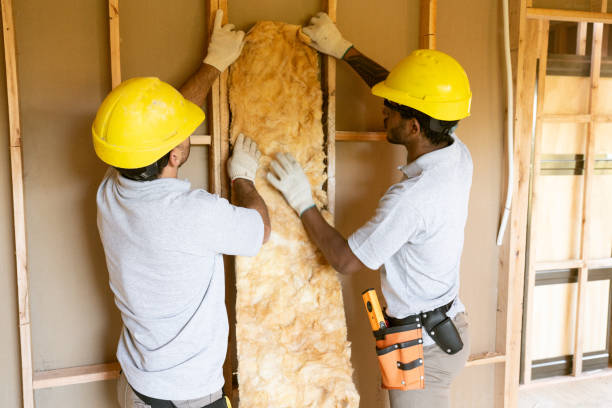 Best Residential Insulation Services  in Smithville Sanders, IN